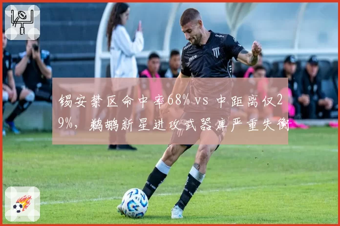 锡安禁区命中率68% vs 中距离仅29%，鹈鹕新星进攻武器库严重失衡