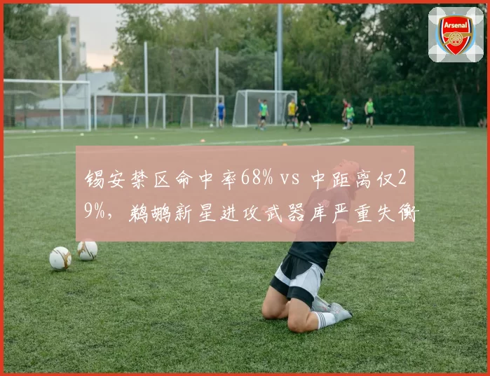 锡安禁区命中率68% vs 中距离仅29%，鹈鹕新星进攻武器库严重失衡