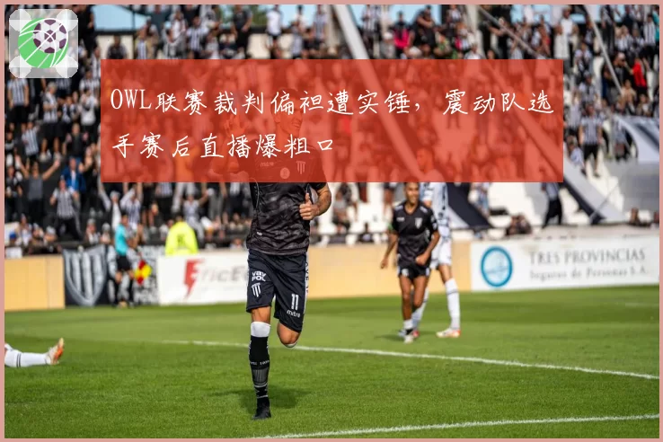 OWL联赛裁判偏袒遭实锤,震动队选手赛后直播爆粗口